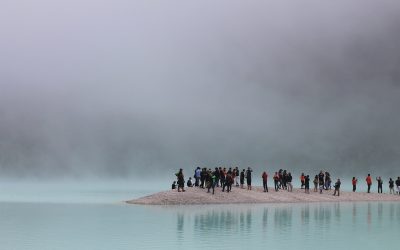 Comités d’entreprise : une spécialisation… plutôt risquée